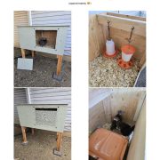 Small Brooder Box Build Plans