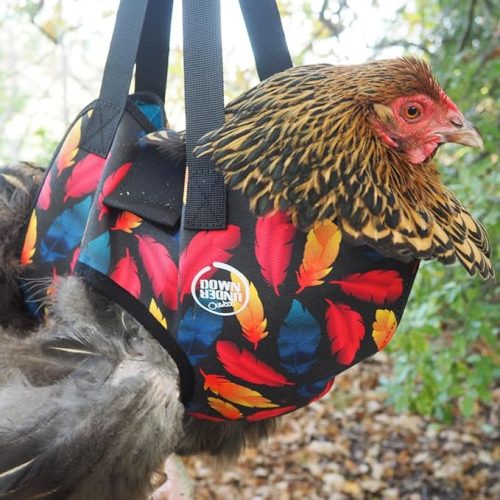 Chicken Holder Sling